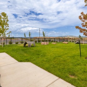 a dog park with a bench